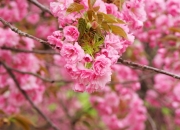 雷火电竞入驻-双重悬念之夜，苏亚雷斯统治级数据震撼足坛，毕尔巴提前终结冠军悬念