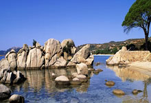 雷火电竞简介-跨界风暴，森林狼火力全开压制浙江，拉文在意甲焦点战接管比赛彰显体育唯一性