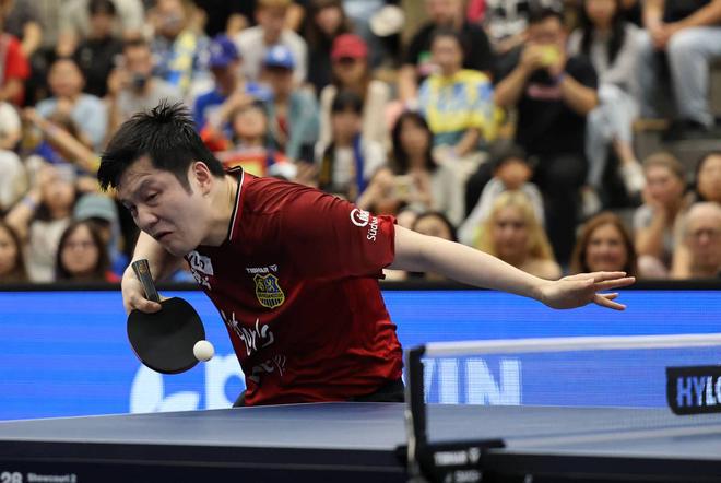 关于英国乒乓球队翻盘瑞典乒乓球队，樊振东完成帽子戏法的信息