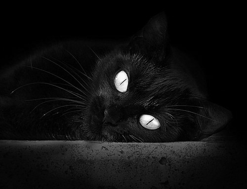 跨界联动！鹈鹕打穿篮网之夜，另一个保罗在意甲焦点战接管比赛