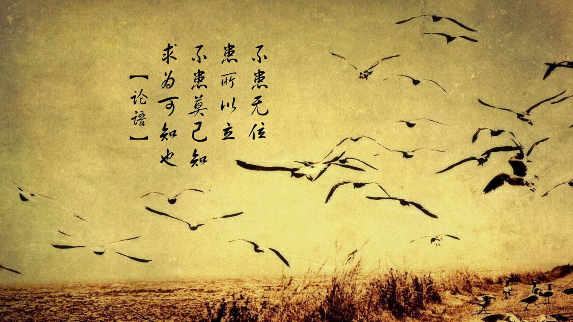 平行宇宙今夜开启？当足球豪门惊现篮球巨星，德罗赞欧冠赛场评分拉满引爆全球